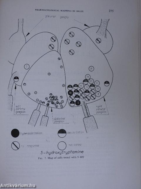 Neurobiology of Invertebrates