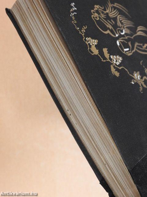 Chinesische Gedichte