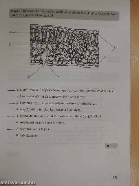 Témazáró feladatlapok biológiából 9. évfolyam