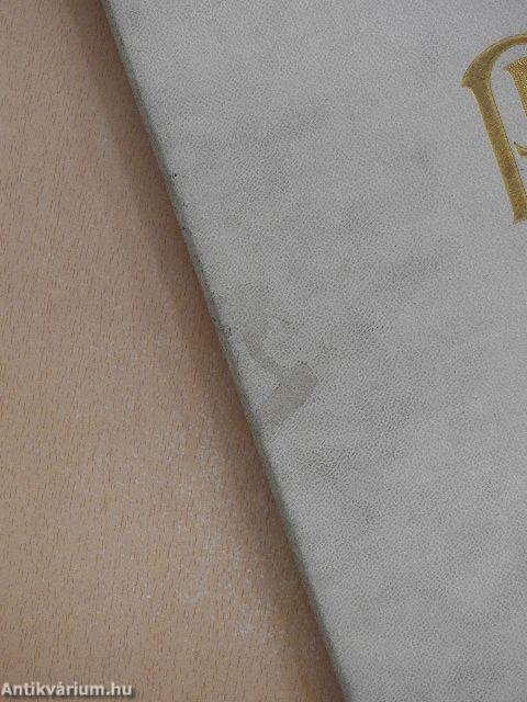 A magyar festőművészet albuma