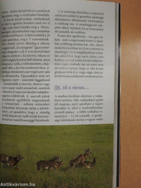 Vadászévkönyv 2017