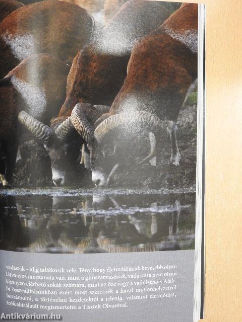 Vadászévkönyv 2017