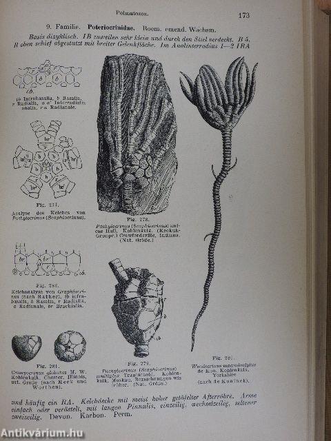 Grundzüge der Paläontologie