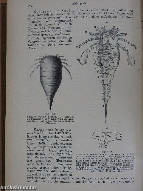 Grundzüge der Paläontologie