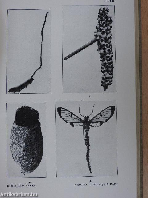 Biologie der Schmetterlinge