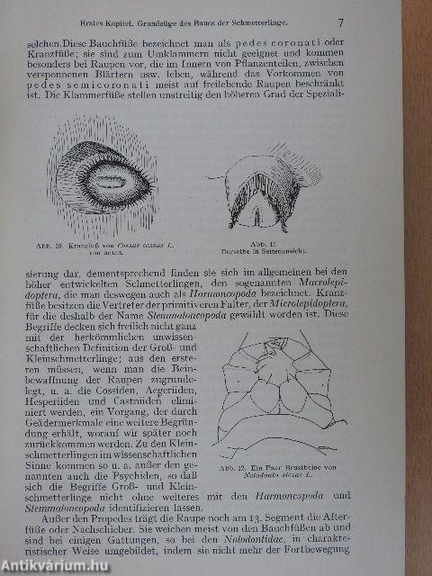 Biologie der Schmetterlinge