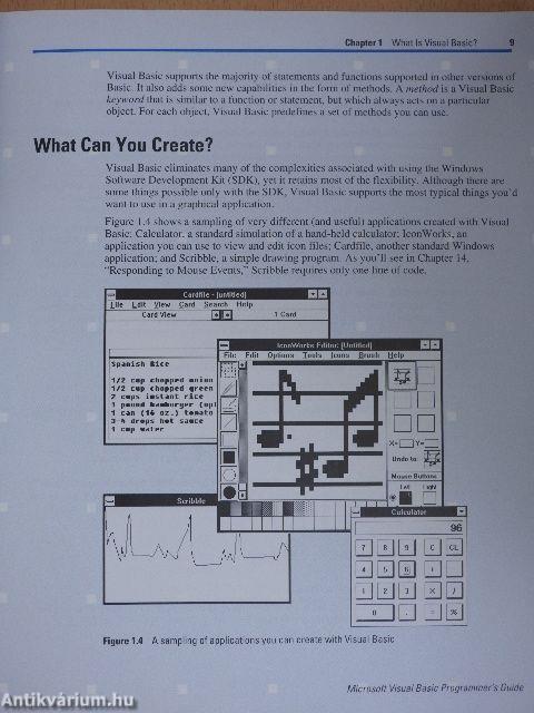 Microsoft Visual Basic