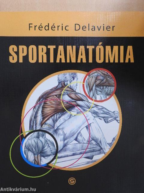 Sportanatómia