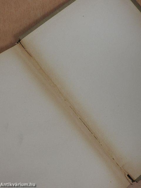 A bolygó zsidó önéletrajza I. (töredék)