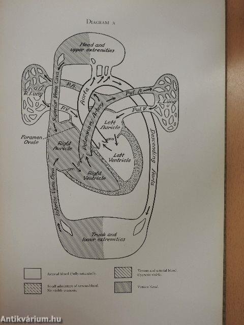 Congenital Malformations of the Heart I.