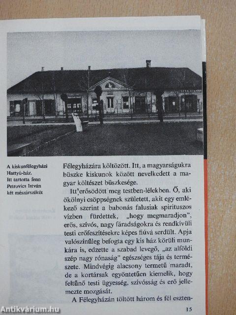 Így élt a szabadságharc költője