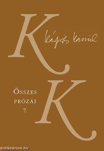 Kárpáti Kamil Összes prózái 7. - Ahogy nézed - Képzőművészeti esszék