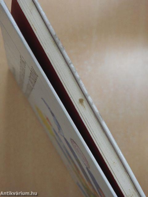 Világokat igazgatok: üveggolyókkal játszom