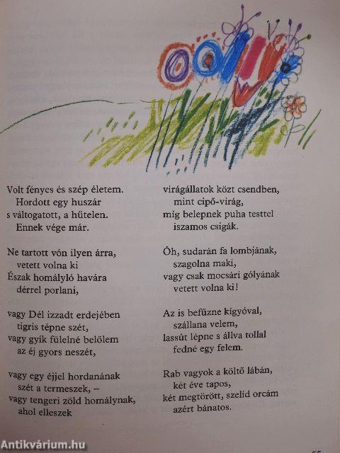 Világokat igazgatok: üveggolyókkal játszom