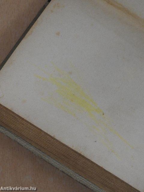 Az elvarázsolt zarándok