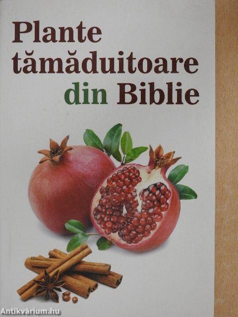 Plante tamaduitoare din Biblie