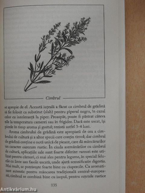 Plante tamaduitoare din Biblie