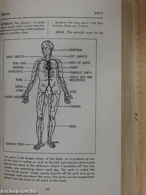 Illustrated Medical and Health Encyclopedia