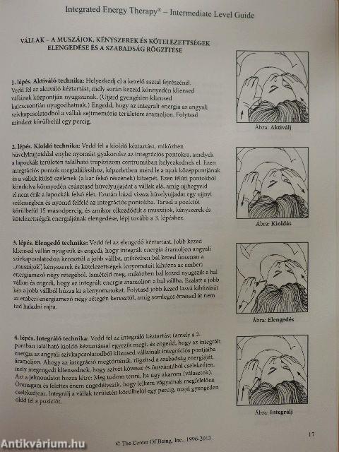 Integrated Energy Therapy - Intermediate Level Guide