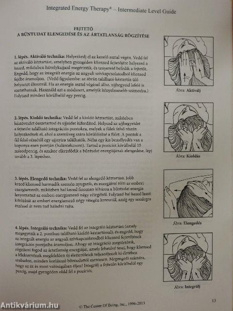 Integrated Energy Therapy - Intermediate Level Guide