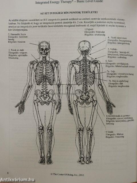 Integrated Energy Therapy - Basic Level Guide