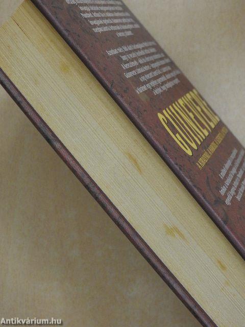 Guinevere - A Szent Grál gyermeke