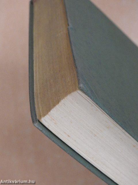 Csilla, das Ferkel und ich