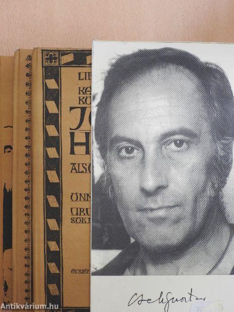 Cseh Gusztáv pátriája I-III.