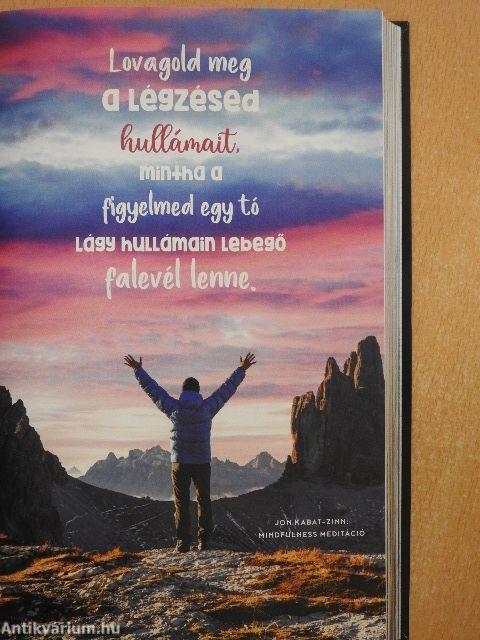 Határtalan gondolatok 2024