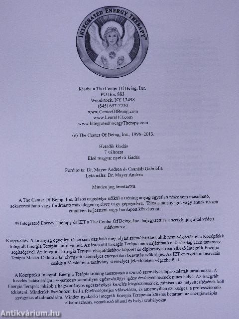 Integrated Energy Therapy - Intermediate Level Guide