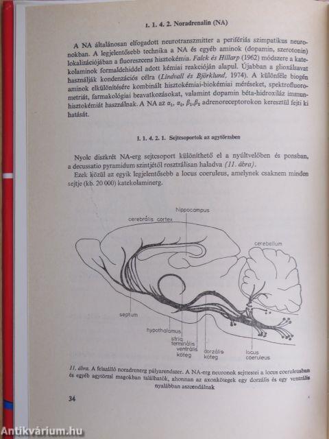 A pszichiátria biológiai alapjai