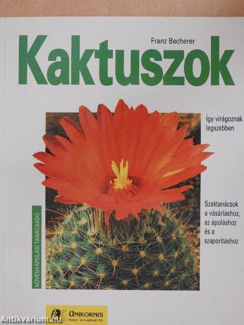 Kaktuszok