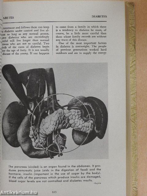 Illustrated Medical and Health Encyclopedia 3-4. (töredék)