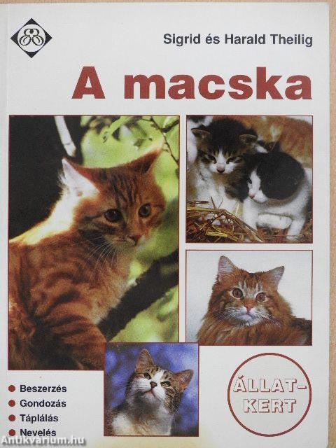 A macska 