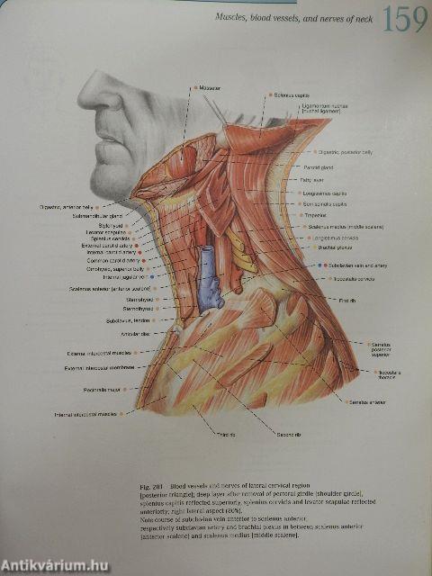 Sobotta - Atlas of Human Anatomy 1.