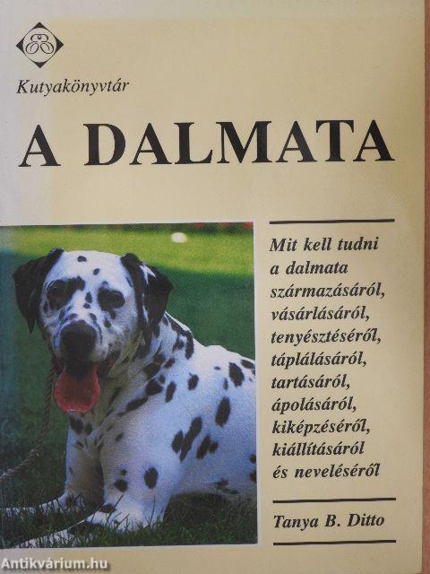 A dalmata