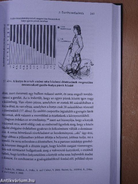 A kutyák szőrös gyerekek