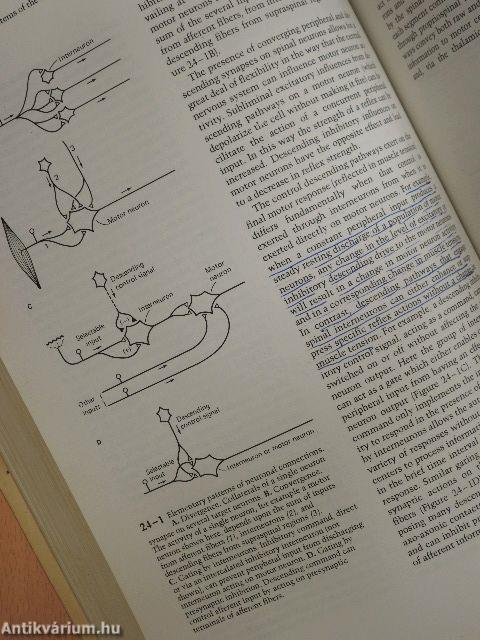 Principles of Neural Science