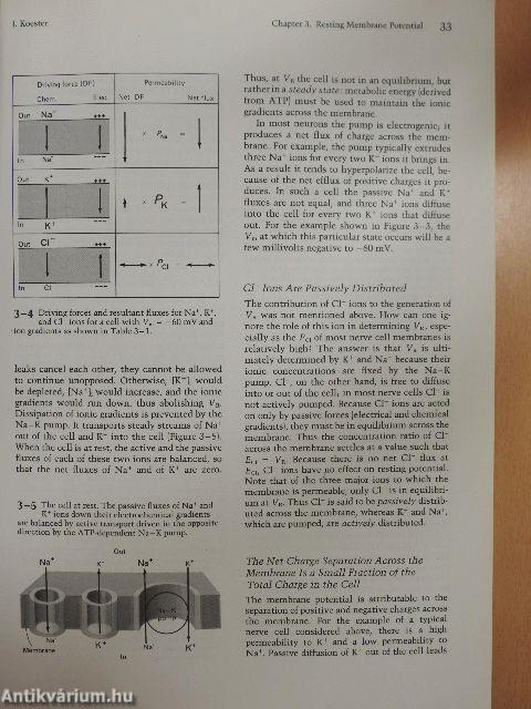 Principles of Neural Science