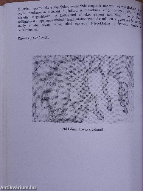 Arany János Gimnázium, Egészségügyi Szakképző és Közgazdasági Szakközépiskola Évkönyv 1946-2006