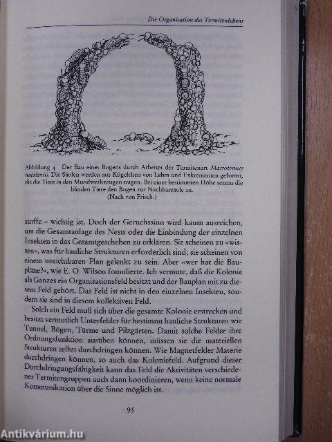 Sieben Experimente, die die Welt verändern könnten