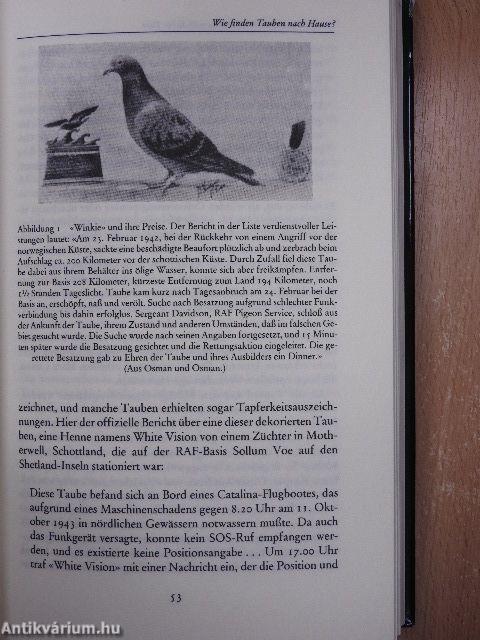 Sieben Experimente, die die Welt verändern könnten