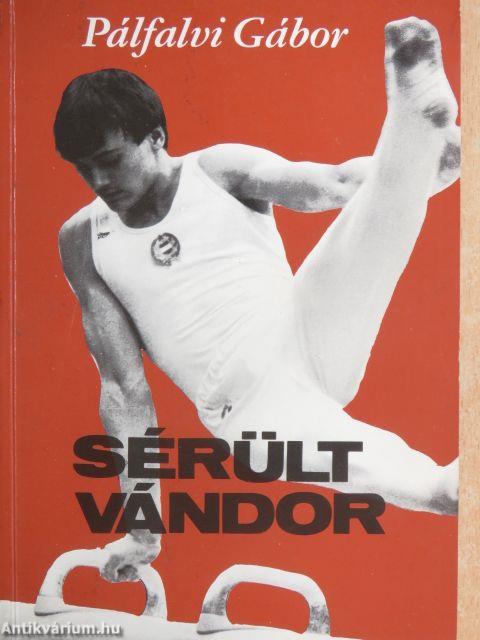 Sérült vándor