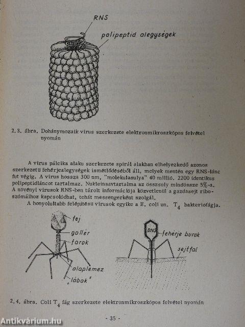 Biokémia I-II.