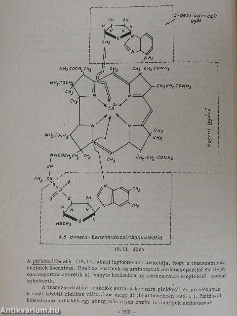 Biokémia I-II.