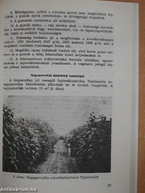 A csicsóka