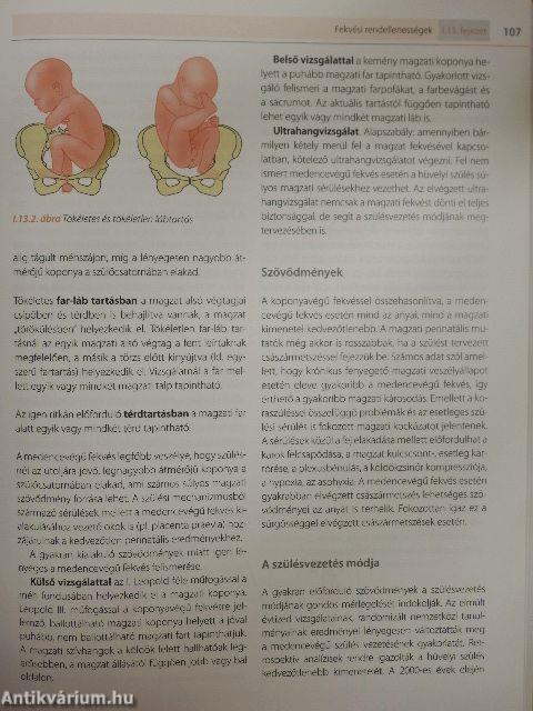 A szülészet-nőgyógyászat egyetemi tankönyve