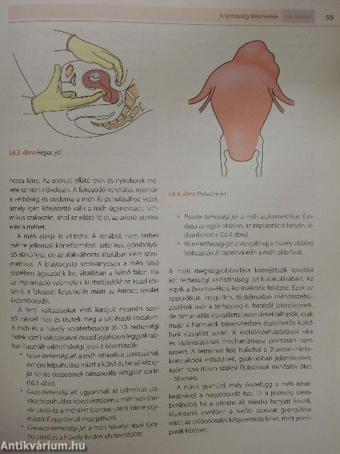 A szülészet-nőgyógyászat egyetemi tankönyve