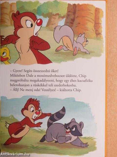 Chip és Dale óvodája