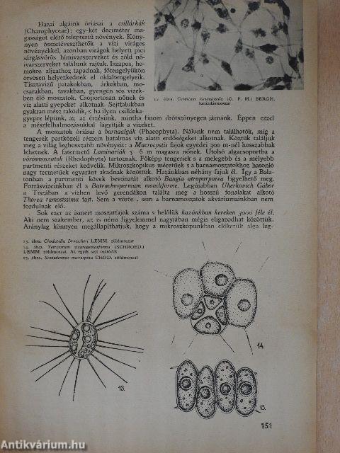 Akvárium és terrárium 1958/4.